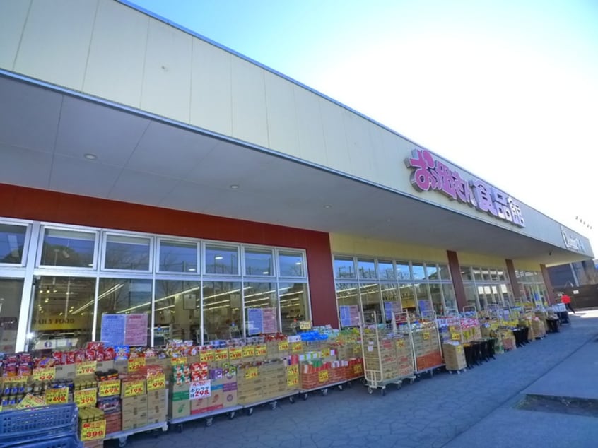 おっ母さん食品館(スーパー)まで840m ﾊﾟｰｸｼﾃｨ柏の葉ｷｬﾝﾊﾟｽ二番街C棟