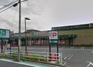 京急ストア磯子丸山店(スーパー)まで1300m カーサ第三笹原