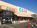 エコス 川口店(スーパー)まで1245m ﾌｼﾞﾉﾊｲﾂ　２