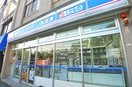 ローソン(コンビニ)まで210m カメリア新目白