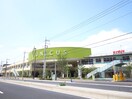 ウニクス浦和美園(スーパー)まで650m Lumeto