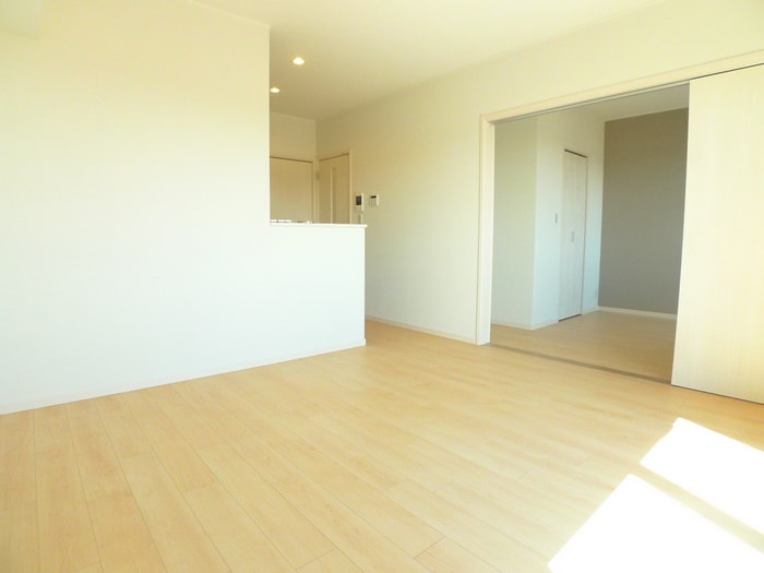 居室 Ｒｉｃｈｅｓｓｅ