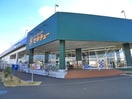 セキチュー(電気量販店/ホームセンター)まで570m Ｒｉｃｈｅｓｓｅ