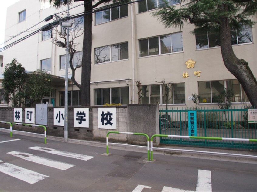 林町小学校(小学校)まで585m ＣｈｏｕＣｈｏｕ千石Ｗｅｓｔ