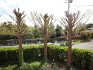 室内からの展望 ＦＯＸ　Ｈｉｌｌｓ