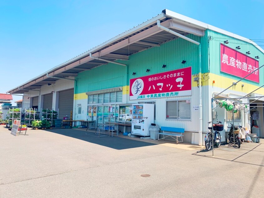 Ja横浜 中里農産物直売所 ハマッ子(スーパー)まで287m ウイスタリア５４