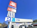 ウエルシア(ドラッグストア)まで443m パ－ムコ－ポ