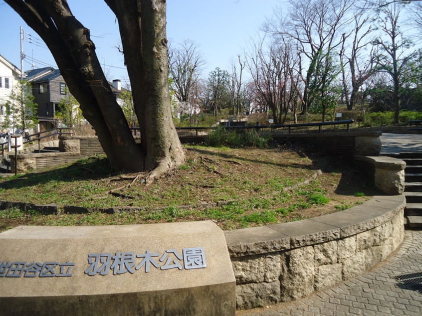 羽根木公園(公園)まで119m Ｕ．ＵＲＢＡＮ　ＨＩＬＬＳ