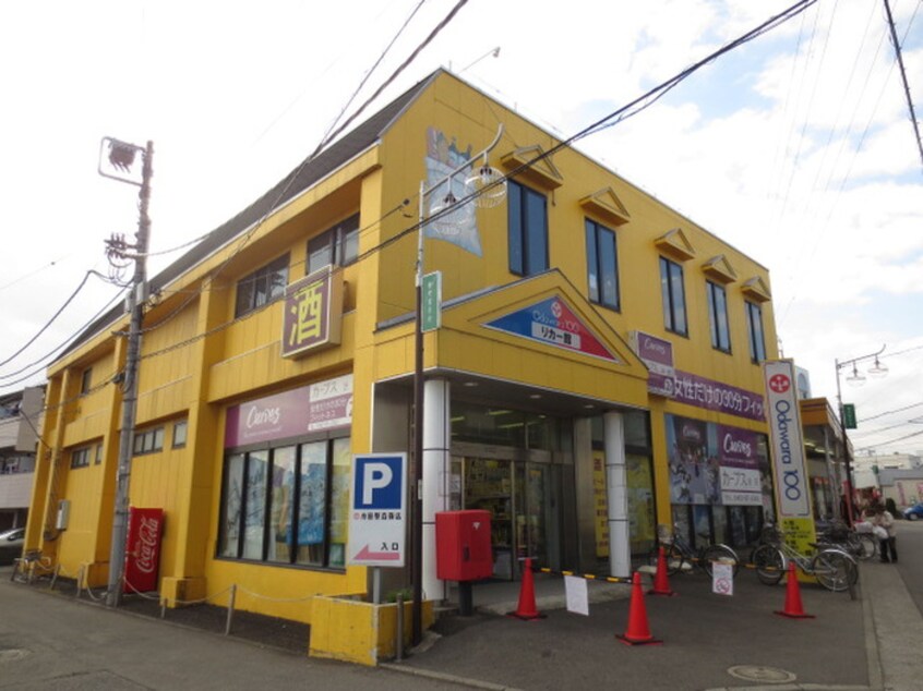 小田原百貨店渋沢店(スーパー)まで903m 小野ハイツＢ