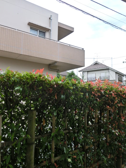 室内からの展望 フレシール荻窪