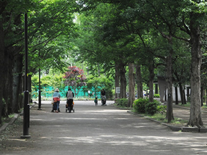 羽根木公園(公園)まで625m アルカディア下北沢