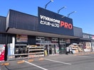 ビバホーム(電気量販店/ホームセンター)まで900m グリ－ンコ－ポ悠
