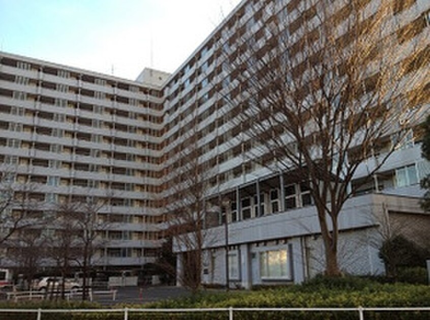 大沼図書館(図書館)まで780m コ－ポ美園