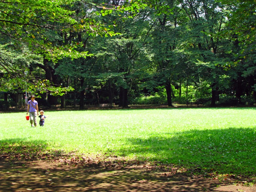 駒場公園(公園)まで590m ペンパルＵ