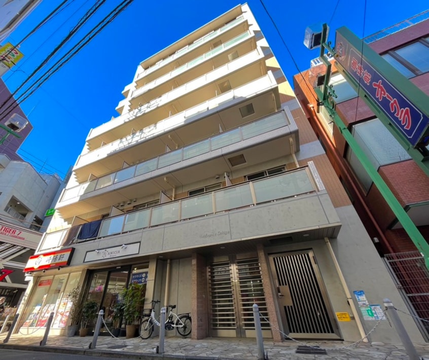 外観写真 アドヴァンス石雅