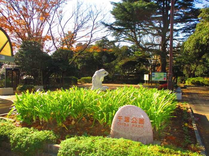 千葉公園(公園)まで600m クレアシオン弁天