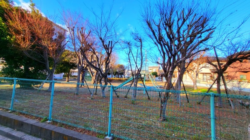 公園(公園)まで16m センチュリ－上尾