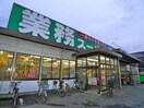 河内屋 行徳店(ディスカウントショップ)まで198m ローズアパートF15