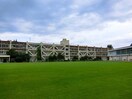 清瀬市立清明小学校(小学校)まで550m 旭が丘１丁目貸家