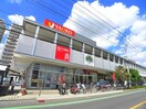 ヤオコー(スーパー)まで450m 栗原ハイツＡ