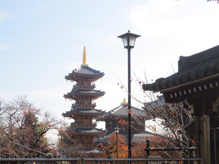 拝島大師(公園)まで227m くすの木ヴィレッジ