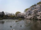 菊名池公園(公園)まで700m クレールブランシェ妙蓮寺