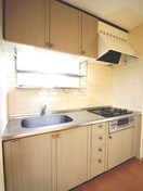 キッチン ヴァンベールアイリスⅢ