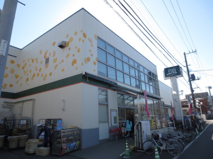 ＳＵＰＥＲ　ＭＡＲＫＥＴ　ＦＵＪＩ鳥山町店(スーパー)まで750m ユナイト小机マイネルリーチ