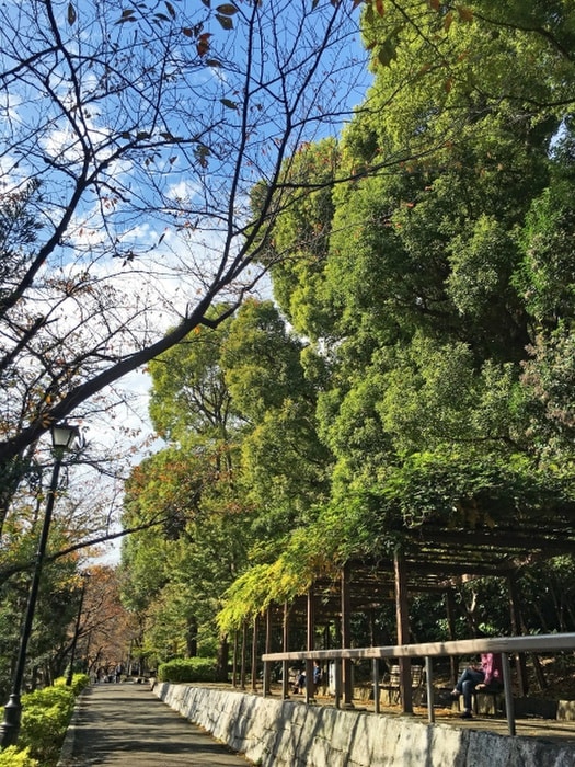 江戸川公園(公園)まで500m ラフィーネ音羽（東棟）