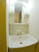 洗面 サンタバレー