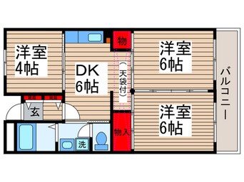 間取図 市川クロ－バ－ハイツ吉野