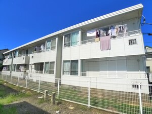 コ－トパイン