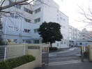 和泉小(小学校)まで477m 代沢ハイム