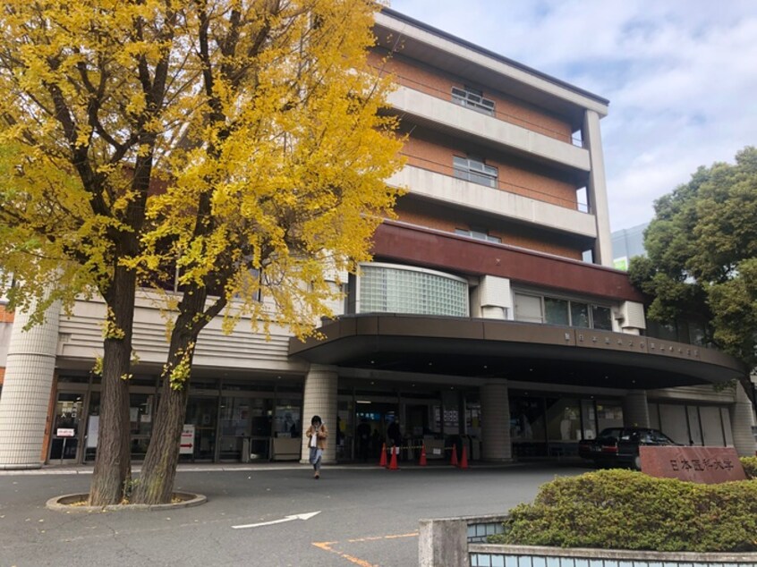 日本医科大学病院(病院)まで16m C　est clair！　武蔵小杉