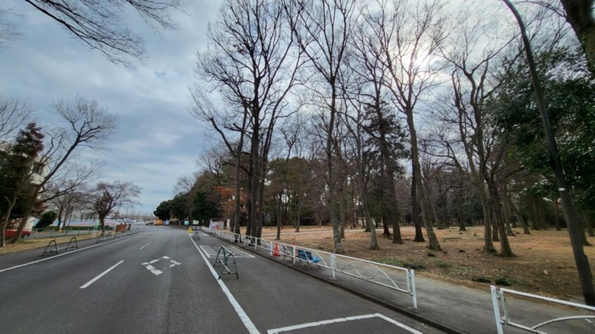 水上公園(公園)まで853m スタ－ヒル上尾