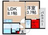 ＬＵＭＯ新松戸ヒルズ 1LDKの間取り