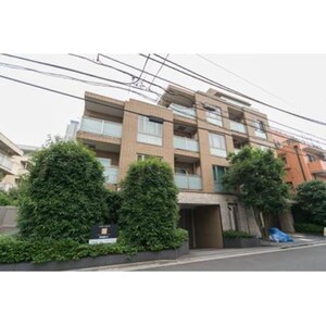 カ－ロ南青山