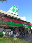 サミットストア　シーアイハイツ和光店(スーパー)まで397m コットン