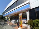 ローソン　和光本町通り店(コンビニ)まで67m コットン