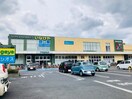 いなげや府中浅間町店(スーパー)まで800m テラスシャルマンＡ棟