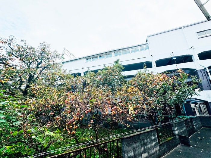 ベランダ・バルコニー ジャンポールＡ