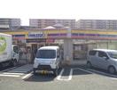 ミニストップ府中是政店(コンビニ)まで250m 花岡マンション