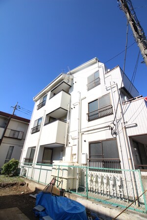 Untitled Warabi