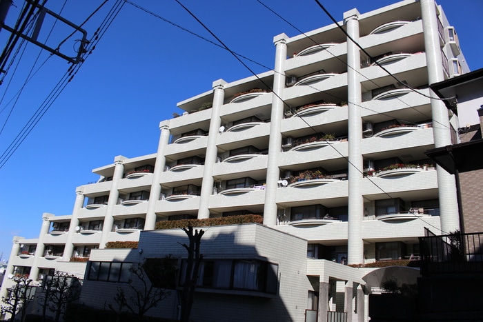 その他 たまﾌﾟﾗｰｻﾞｽｶｲﾏﾝｼｮﾝ東館(403)