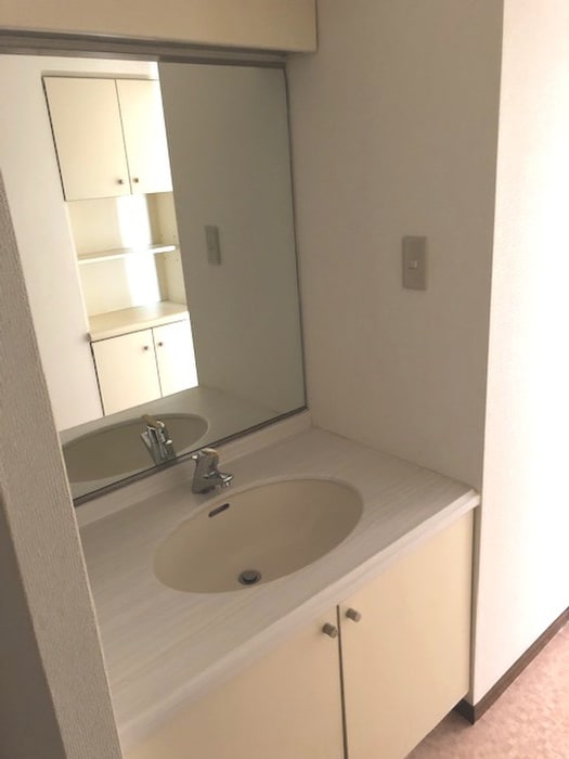 洗面 たまﾌﾟﾗｰｻﾞｽｶｲﾏﾝｼｮﾝ東館(403)