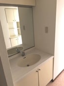 洗面 たまﾌﾟﾗｰｻﾞｽｶｲﾏﾝｼｮﾝ東館(403)