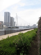 隅田川(公園)まで50m リバーポイントタワー(1309)