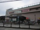 アピタ(ショッピングセンター/アウトレットモール)まで400m 上倉田住宅Ⅱ