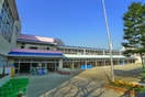 南行徳幼稚園(幼稚園/保育園)まで242m ベイエックス