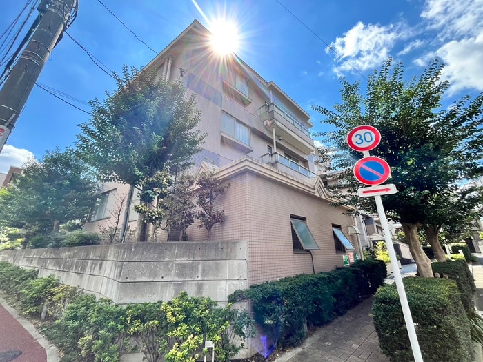 その他 ステイタス志村坂上